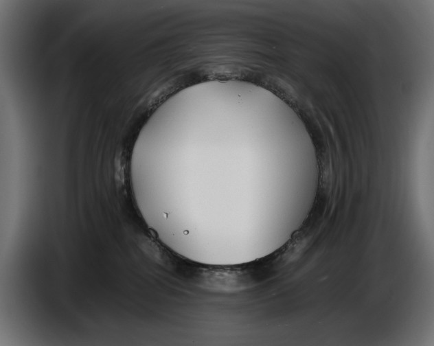 X0000086760282200705041454