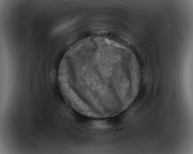 X0000086760283200705041454