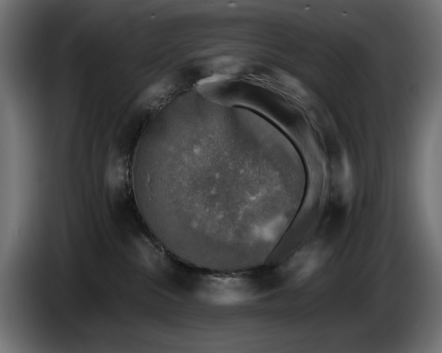 X0000086760284200705041454