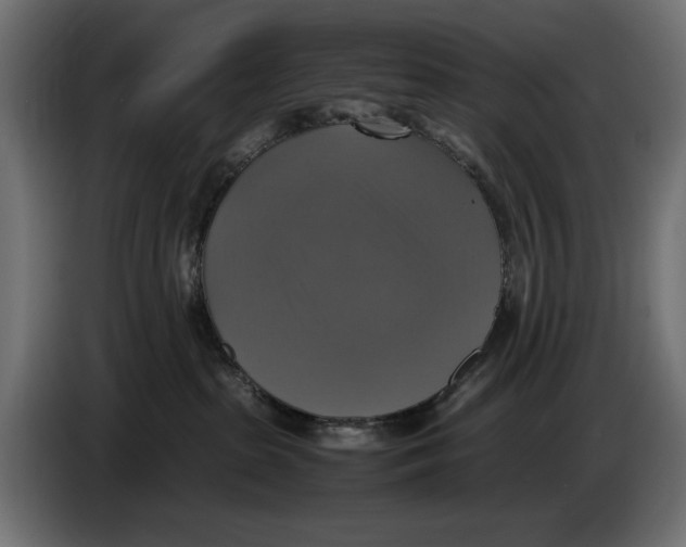 X0000086760285200705041454