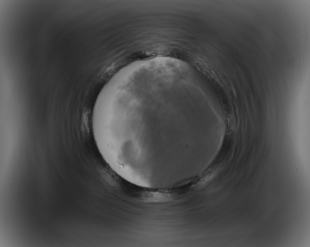 X0000086760286200705041454