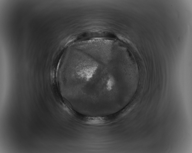 X0000086760288200705041454