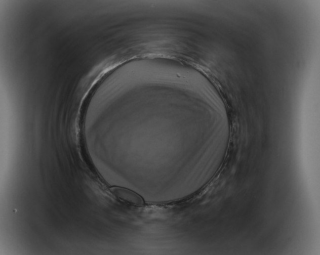 X0000086760290200705041453