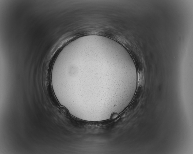 X0000086760291200705041453