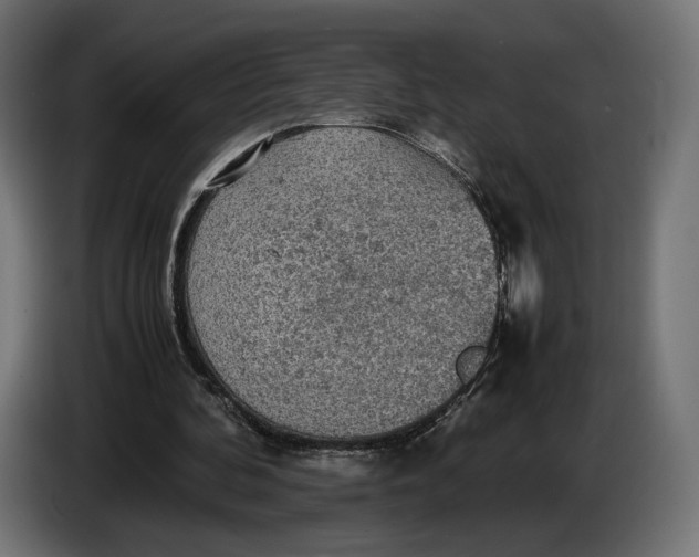 X0000086760292200705041453