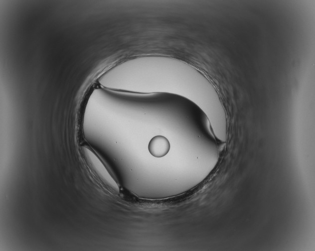 X0000086760293200705041453