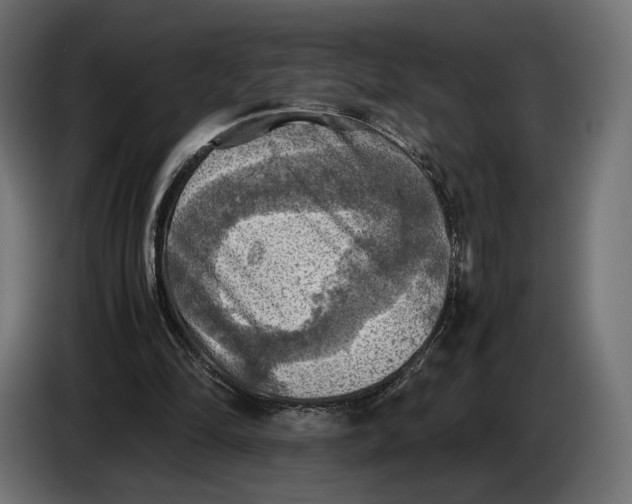 X0000086760294200705041453