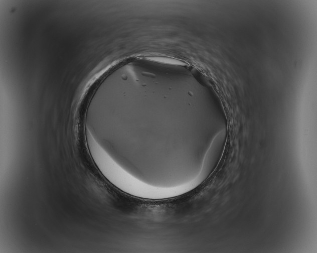 X0000086760295200705041453