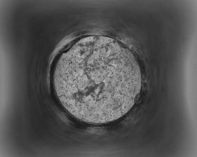 X0000086760296200705041453