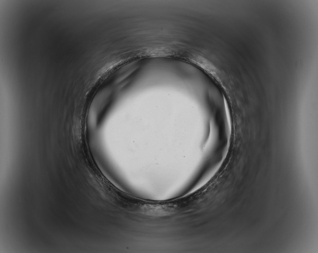 X0000086760297200705041453