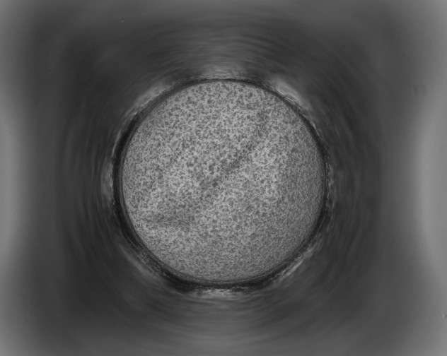 X0000086760298200705041453