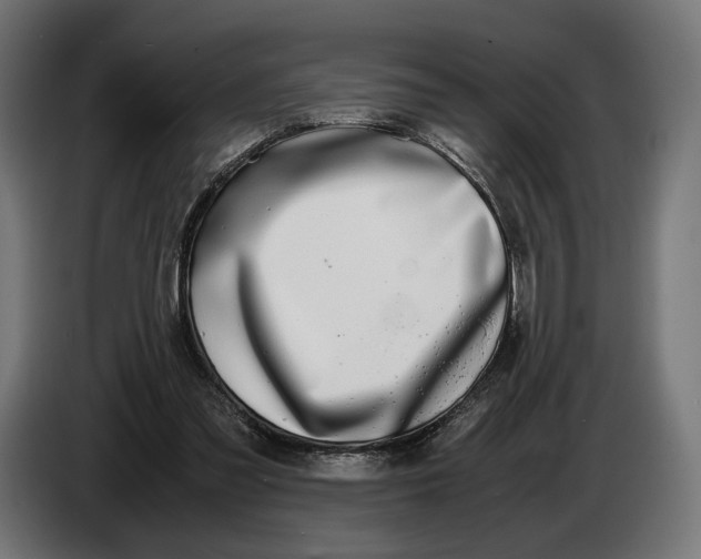 X0000086760301200705041453