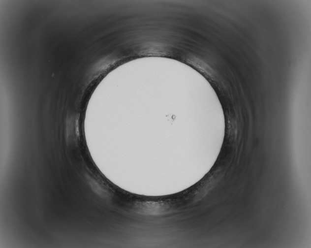 X0000086760302200705041453