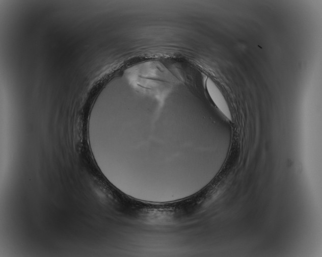 X0000086760303200705041453