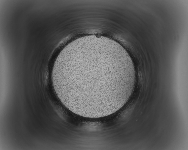 X0000086760304200705041453