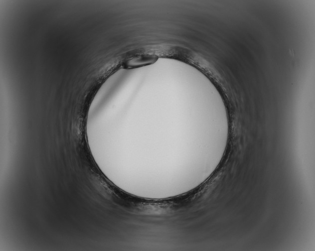 X0000086760305200705041453