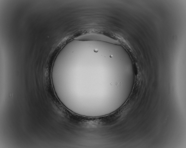 X0000086760306200705041453