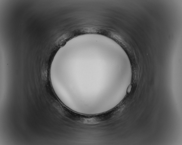 X0000086760309200705041453