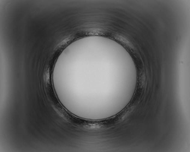 X0000086760310200705041453