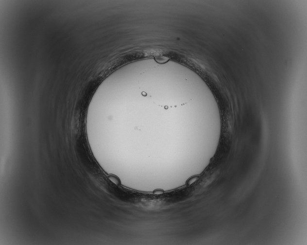 X0000086760311200705041453