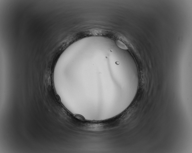 X0000086760313200705041453