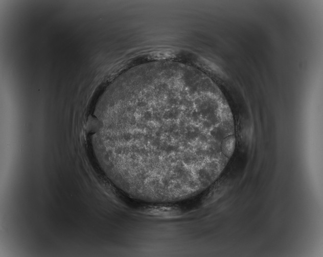 X0000086760315200705041453