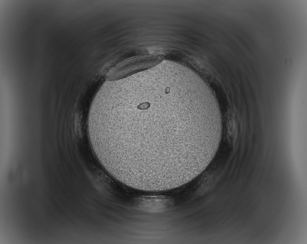 X0000086760316200705041453