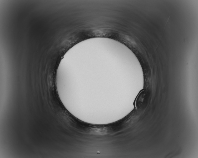 X0000086760317200705041453