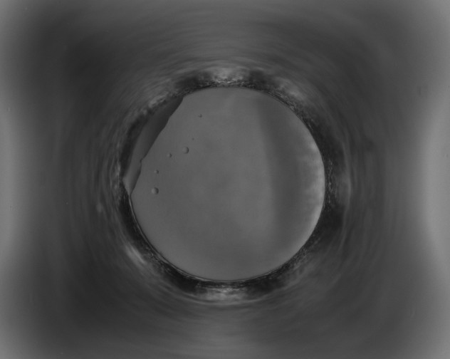 X0000086760319200705041453