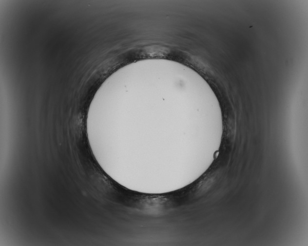 X0000086760321200705041453