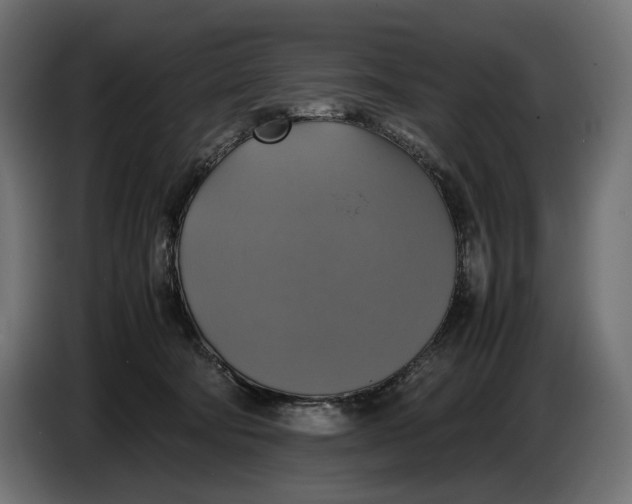 X0000086760322200705041453