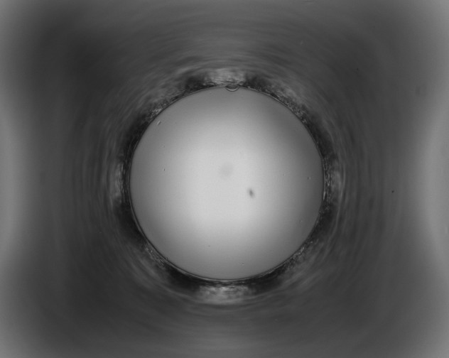 X0000086760323200705041453