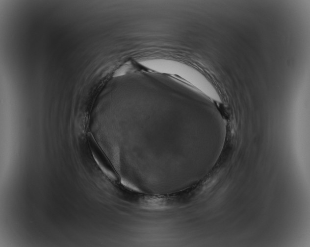 X0000086760325200705041453