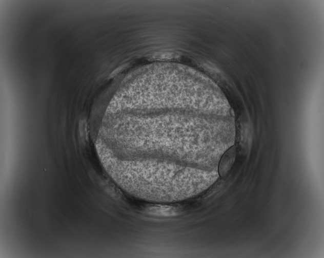 X0000086760326200705041453