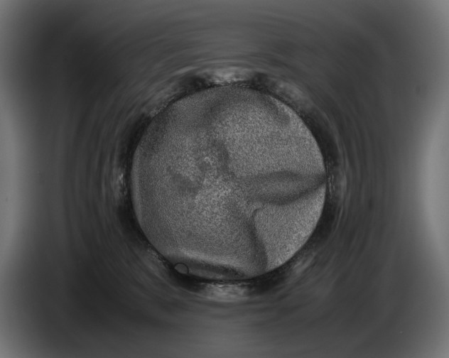 X0000086760327200705041453