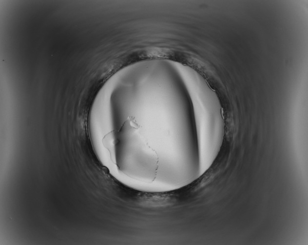 X0000086760329200705041453