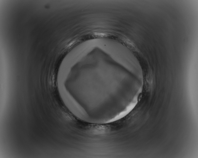 X0000086760330200705041453