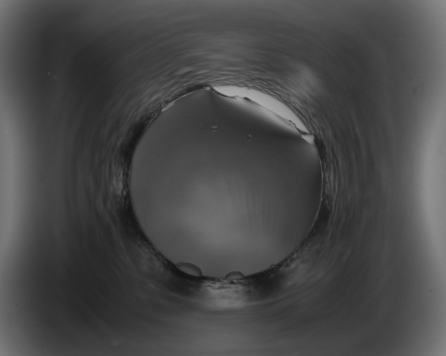 X0000086760331200705041453