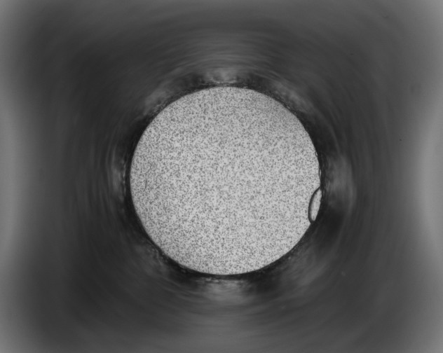 X0000086760332200705041453