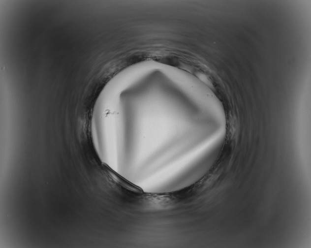 X0000086760333200705041453