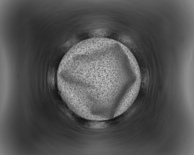 X0000086760334200705041453