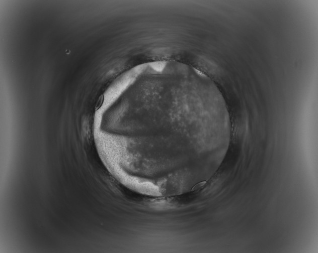 X0000086760335200705041453