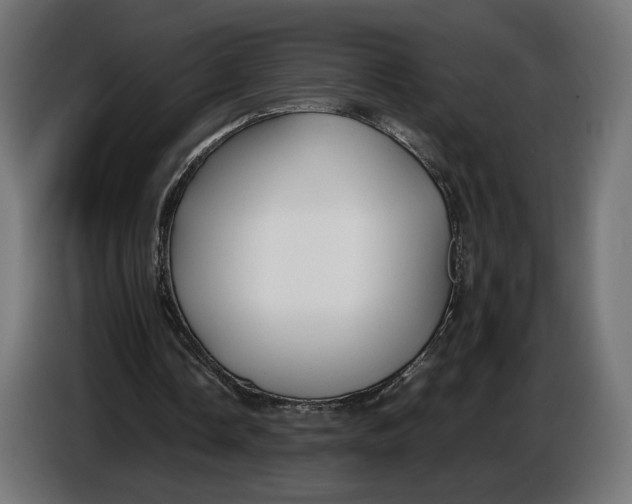 X0000086760338200705041452