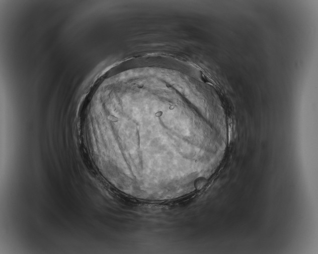 X0000086760339200705041452