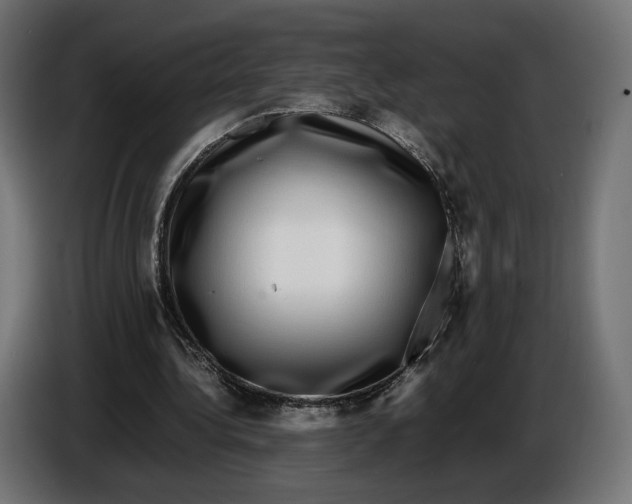 X0000086760340200705041452