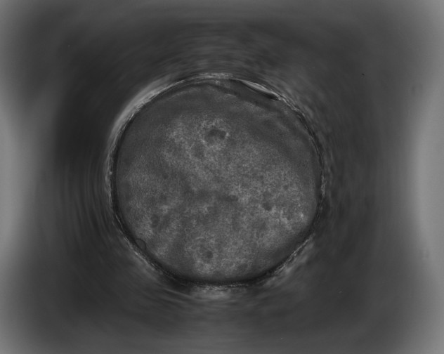 X0000086760341200705041452