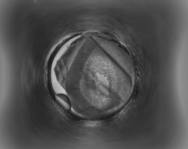 X0000086760342200705041452