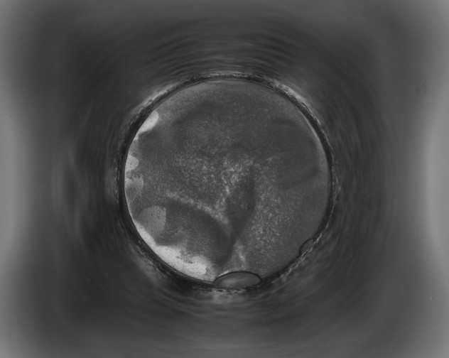 X0000086760345200705041452