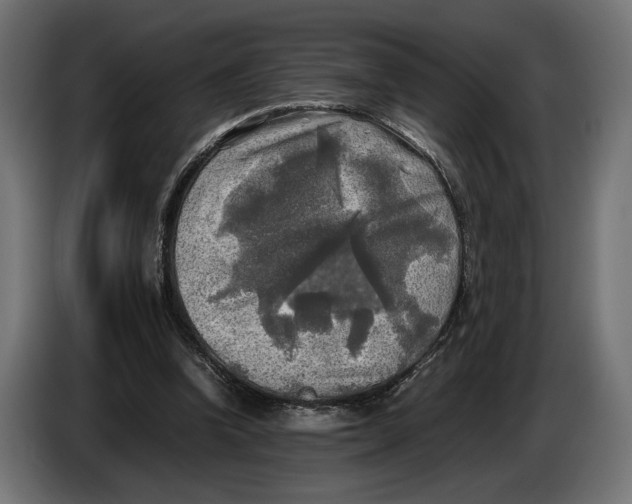 X0000086760346200705041452