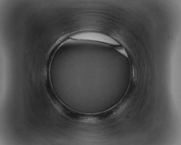 X0000086760348200705041452